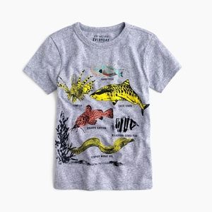 Crewcuts Boys Safari Fish Cotton T-shirt